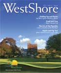 issue 3
