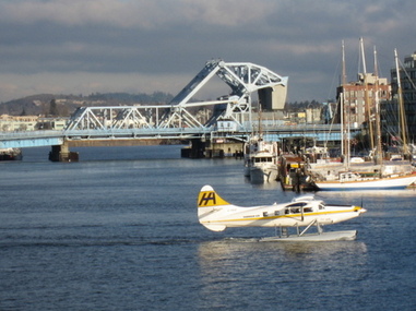 bluebridge